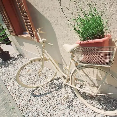 Mediterran Appartamento Zalakaros