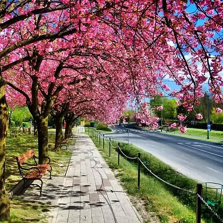 Lejlighed Mediterran *