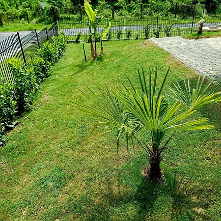 Mediterran Lejlighed *