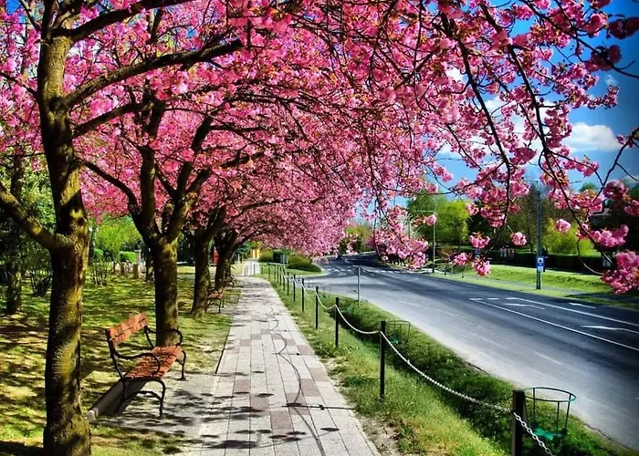 Apartmán Mediterran *