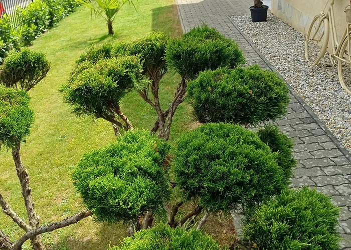 Mediterran Apartmán