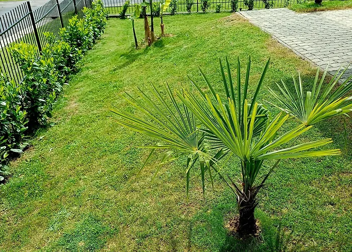 Mediterran Apartmán *